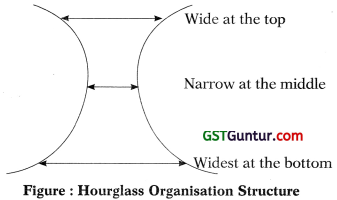 Organisation and Strategic Leadership – CA Inter SM Study Material 1